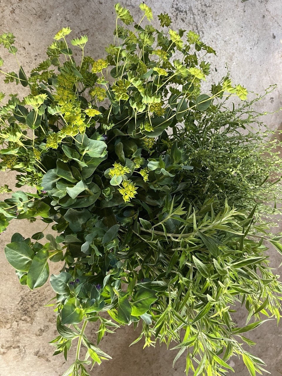 D.I.Y GREENERY BUCKET
